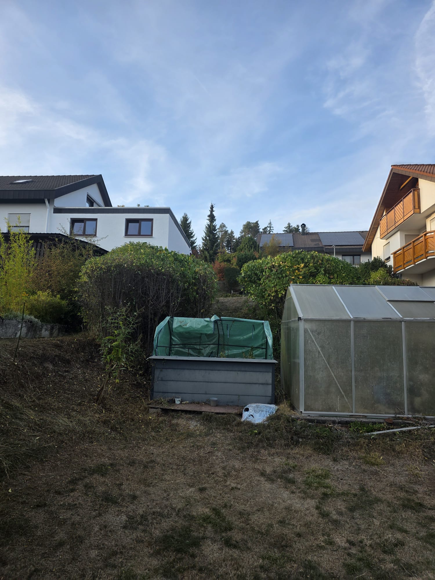 Garden photo 41
